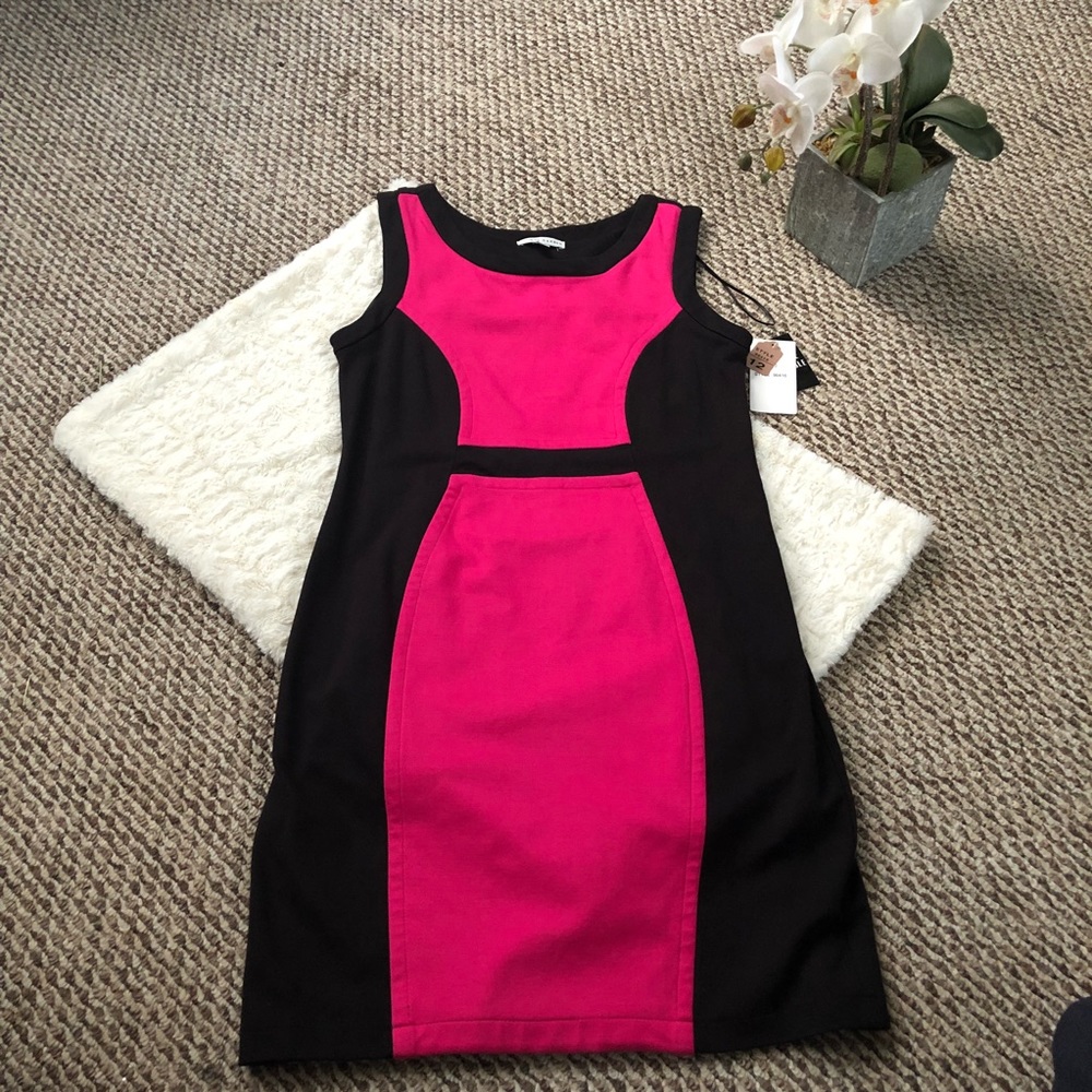 Sleeveless Sheath Dress